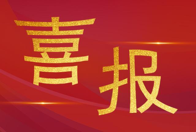喜報(bào)|我司技術(shù)服務(wù)部工程師們榮獲“電力運(yùn)檢之星“